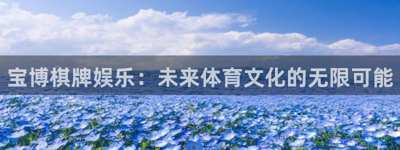 万向娱乐app：宝博棋牌娱乐：未来体育文化的无限可能