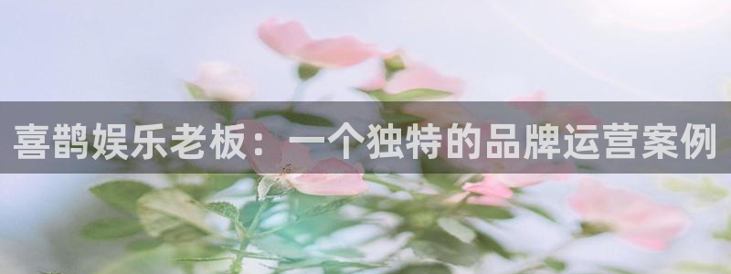 万向娱乐注册登录：喜鹊娱乐老板：一个独特的品牌运营案例