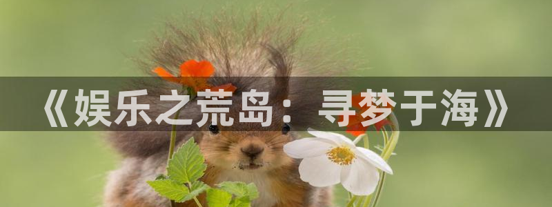 万向娱乐注册：《娱乐之荒岛：寻梦于海》