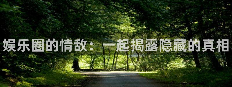 万向娱乐：娱乐圈的情敌：一起揭露隐藏的真相