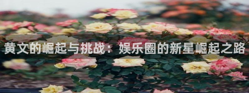 万向娱乐注册：黄文的崛起与挑战：娱乐圈的新星崛起之路