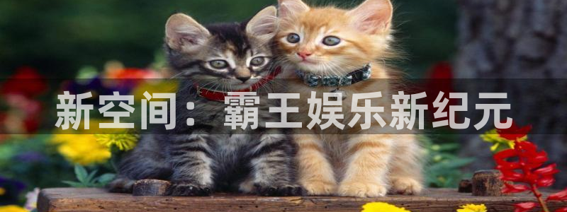 万向娱乐：新空间：霸王娱乐新纪元