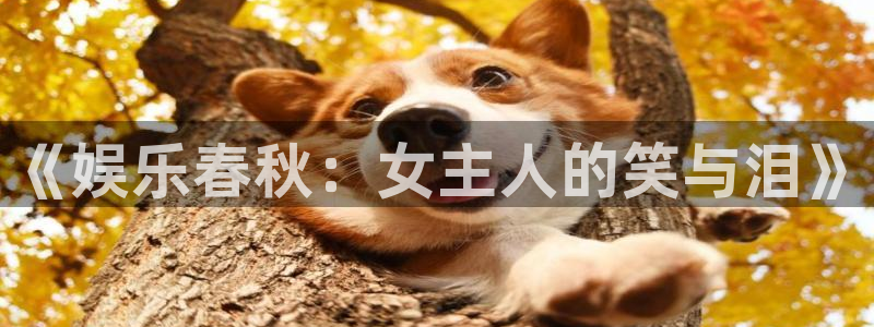 万向娱乐：《娱乐春秋：女主人的笑与泪》