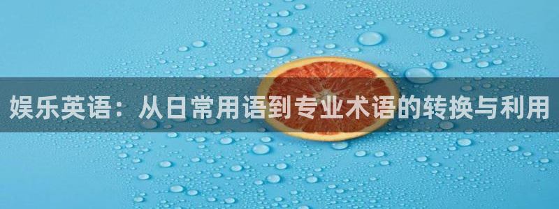 万向娱乐app：娱乐英语：从日常用语到专业术语的转换与利用