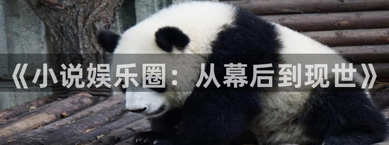 万向娱乐注册：《小说娱乐圈：从幕后到现世》