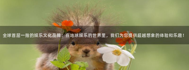 万向娱乐：全球首屈一指的娱乐文化品牌：在地球娱乐的世界里，我们为您提供超越想象的体验和乐趣！
