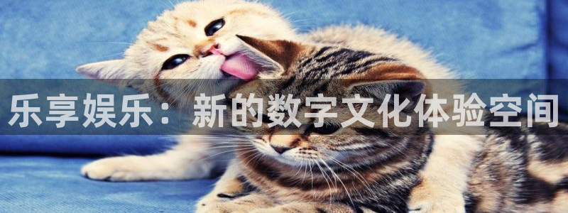 万向娱乐：乐享娱乐：新的数字文化体验空间
