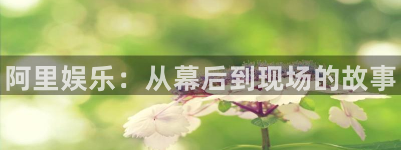 万向娱乐注册登录：阿里娱乐：从幕后到现场的故事