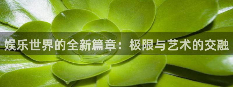 万向娱乐app：娱乐世界的全新篇章：极限与艺术的交融